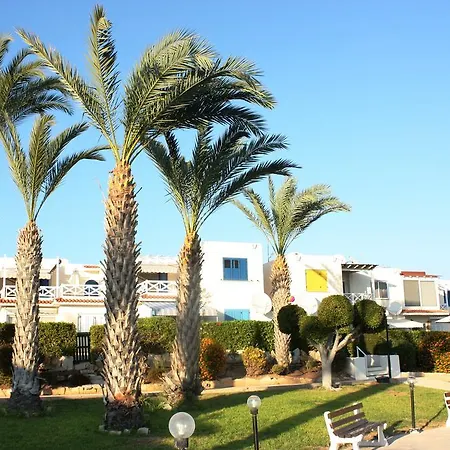 Green Oasis Beach